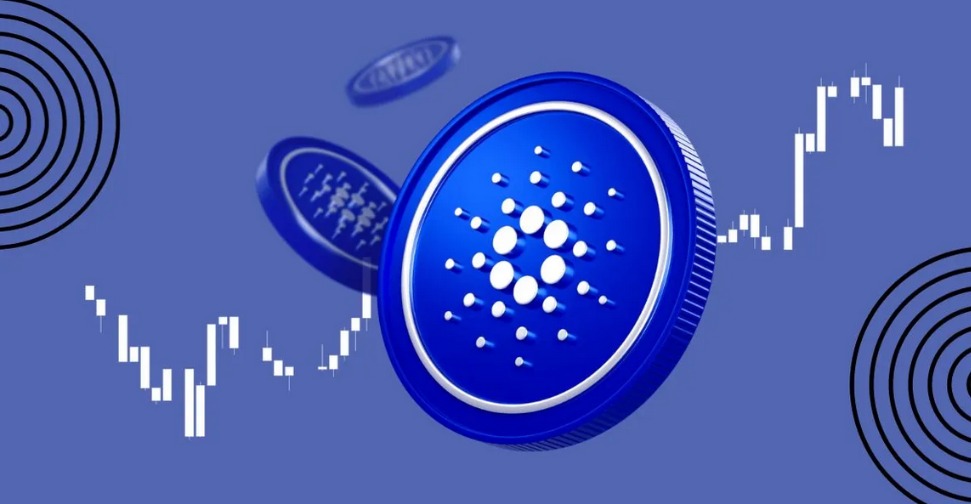 myvipon.com