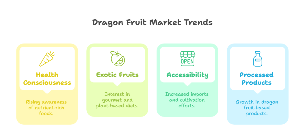 USA Dragon Fruit market