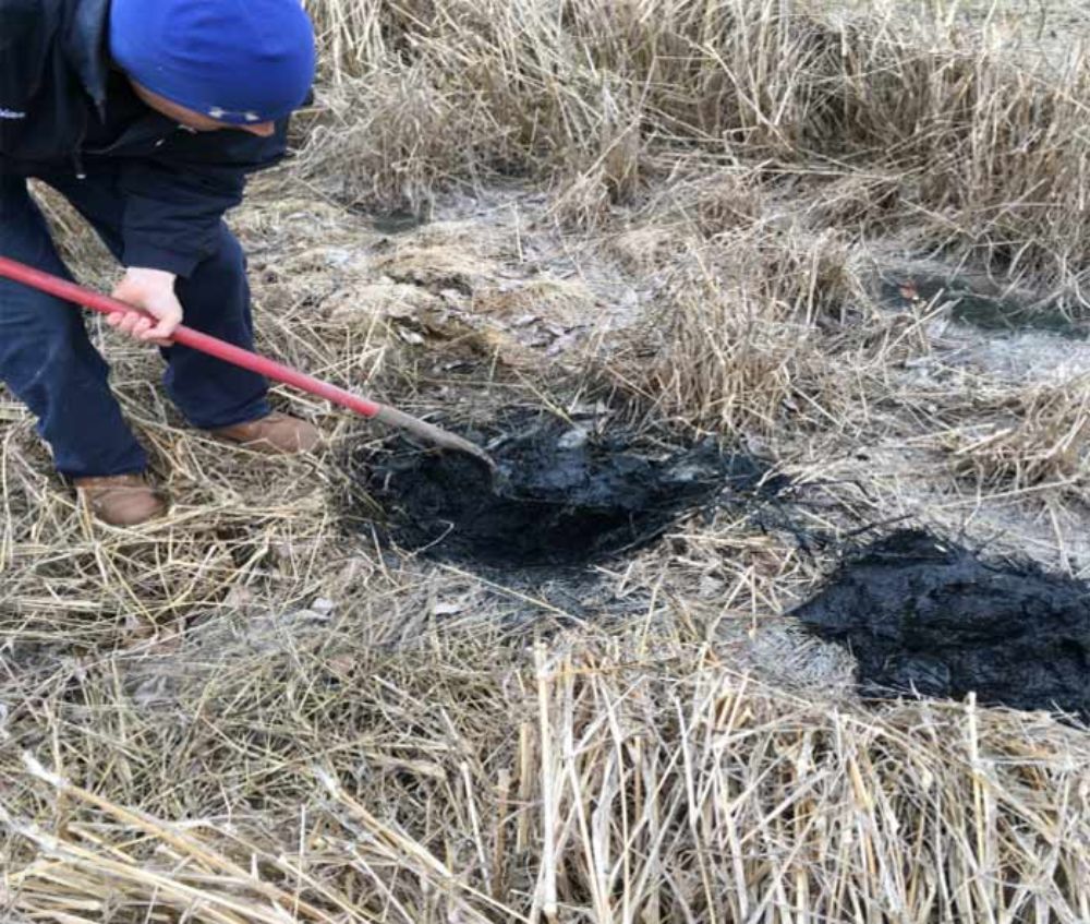 From Bad to Worse What Happens When Your Leach Field Fails? Vipon