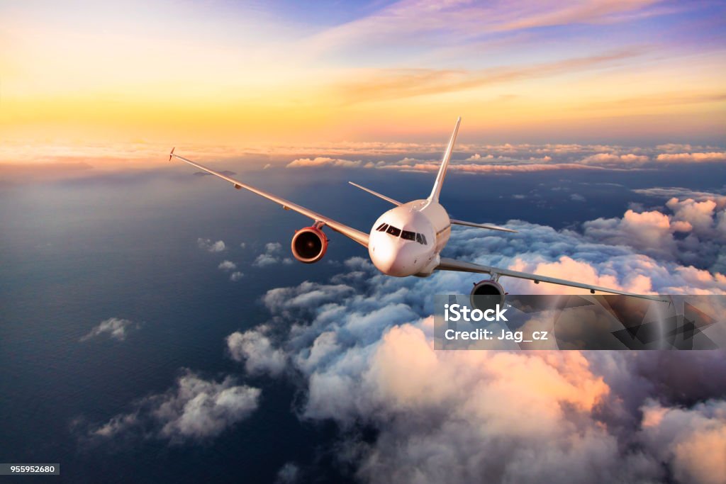 United Airlines Baggage Policy Vipon